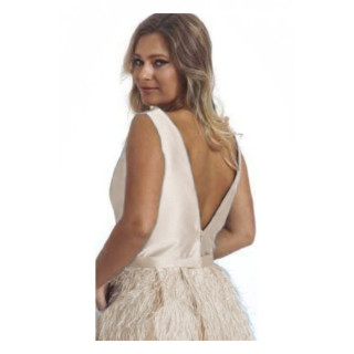 Vestido de Corpeto Liso e Saia com plumas